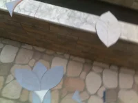 24102011650.webp
