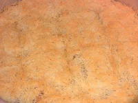 IMG_6671.webp