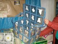 13041825623008.webp
