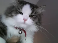 20131121_160250.webp