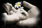 587246.webp