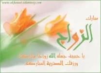 images (2).webp