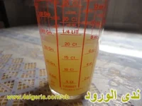 05.webp