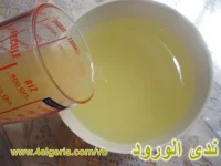 06.webp