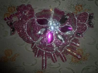 SAM_0238.webp