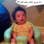 528732_1408743832.webp