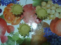 IMGP0049.webp