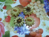 IMGP0053.webp