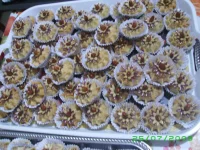 IMGP0006.webp