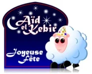 aid2008.webp