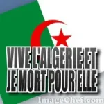 vive l algèrie.webp