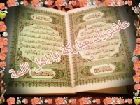 14150059819221.webp