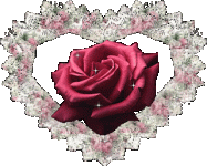 255931يي.gif