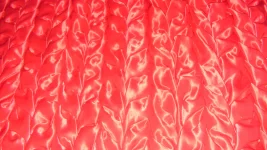 DVCI0077.webp