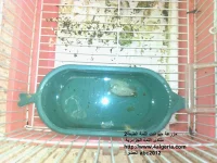Photo0275.webp