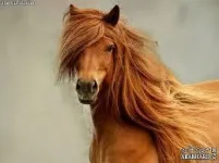 10420038_1487433958174971_999725625403001266_n.webp 10420038_1487433958174971_999725625403001266_n.webp