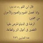 11249479_906911136066353_7090696744031958608_n.webp