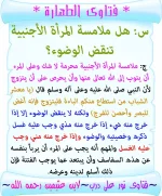 59.webp