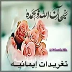 index.webp