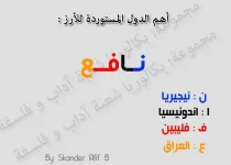 144442096245.webp