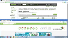 919.webp