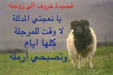 378008_1380904497.webp
