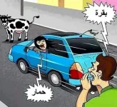 12376080_1043047585758418_7348291833503649567_n (1).webp