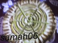 DSC_0000495.webp