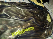 SAM_0693.webp