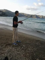 202.webp