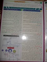 6963496_orig6.webp