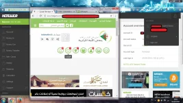 sale net 4.webp