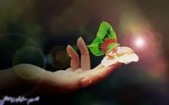 images-18.webp