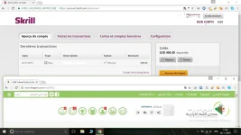 skrilll.webp