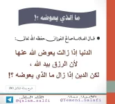 426204425_51105.webp
