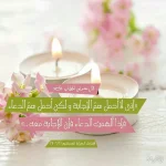 226616122_150704.webp