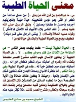 425726157_225283.webp