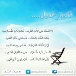 223032526_119189.webp
