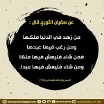 223033480_124394.webp