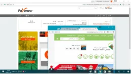بيع 100 دولار.webp