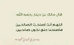 426007681_90619.webp