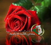 LostFile_JPG_19.webp