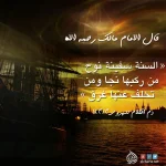 812722181_121647.webp