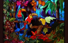 Arte-del-vitral-ventana-loro-tropical-jungle-bosque-4-Tama&ntilde.webp