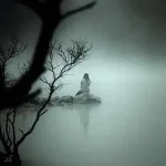 images-572.webp