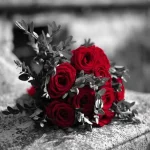 images-1697.webp