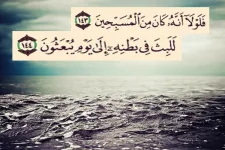tumblr_mh4r539We41r0i07vo1_1280.webp