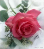 136096014912.webp