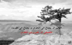 -1704458520.webp