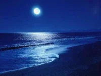images-668.webp